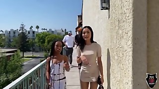 Bareback, Bbc, Big ass, Big cock, Bisexual, Black and ebony, Blowjob, Booty, Brunette, Cock