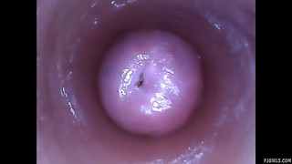 Babe, Brunette, Doctor, Kinky, Masturbation, Petite, Pov, Pussy, Selfshot, Sex