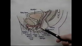 Clit, Erotic, Oral, Softcore, Train, Blowjob, Orgasm, Sex