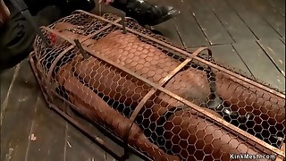 Bondage, Vibrator, Bdsm, Bizarre, Black and ebony, Ebony, Extreme, Fetish, Fucking, Gagging